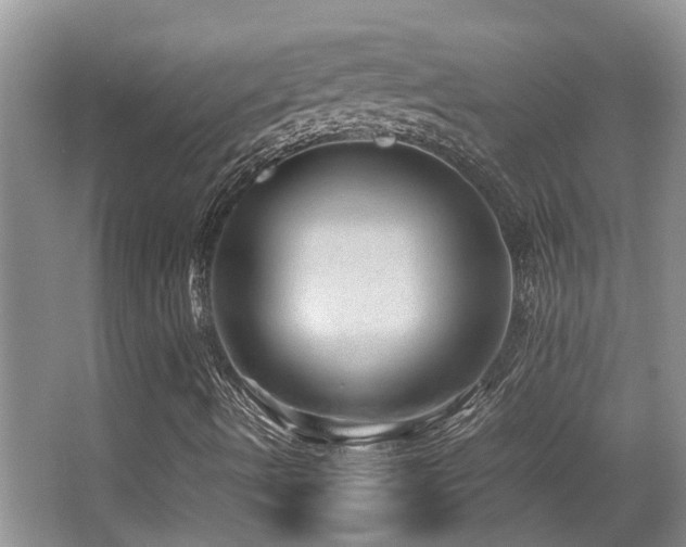 X0000067001490200603241328