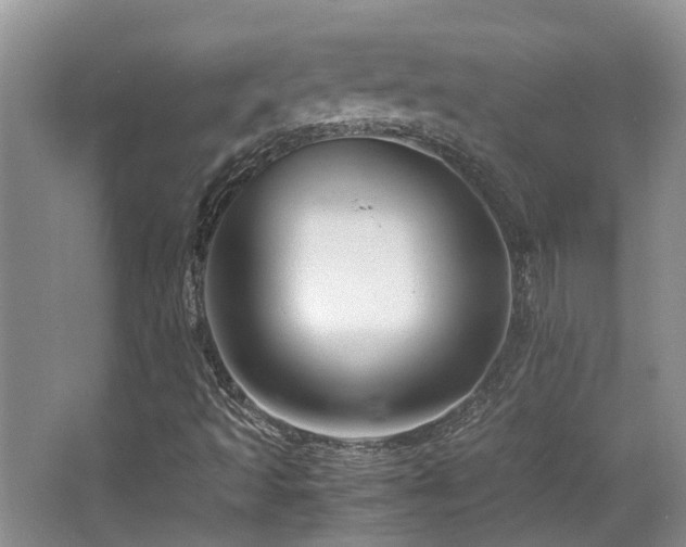 X0000067001493200603241328