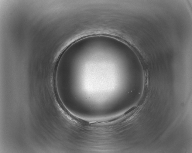 X0000067001500200603241328