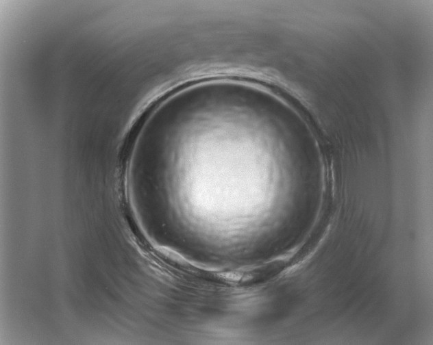 X0000067001501200603241328