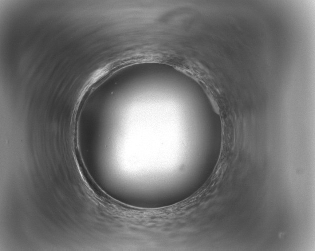 X0000067000003200603271352