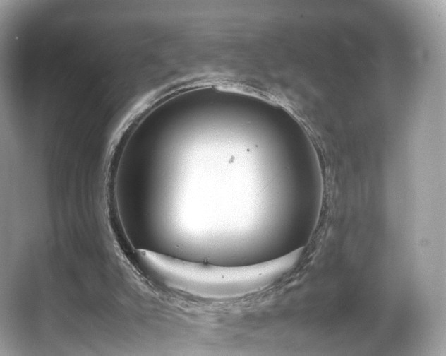 X0000067000007200603271352