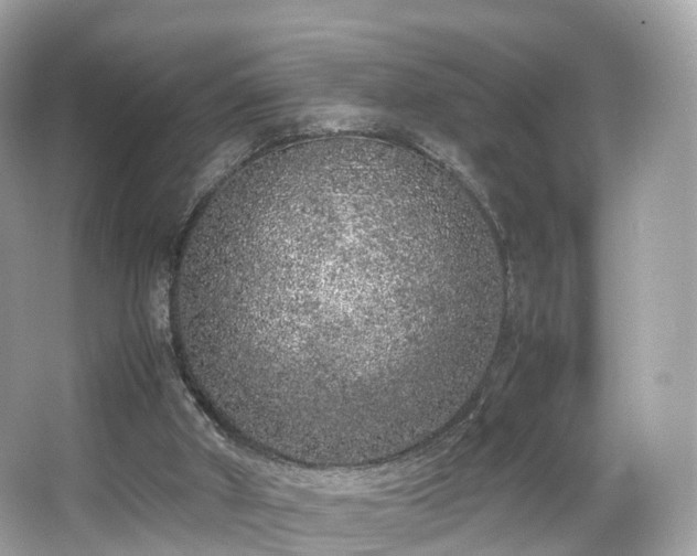 X0000067000010200603271352