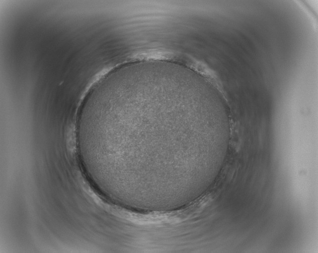 X0000067000012200603271352