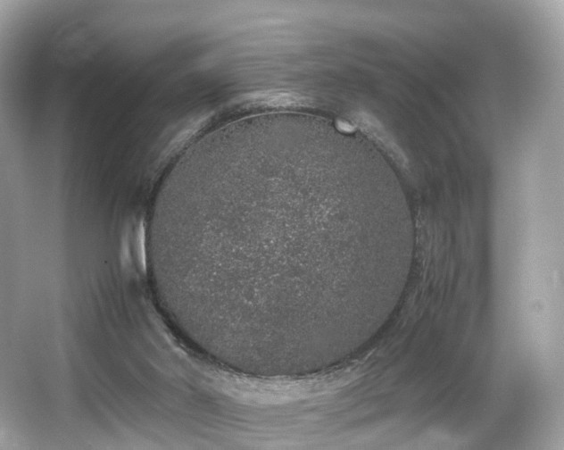 X0000067000014200603271352