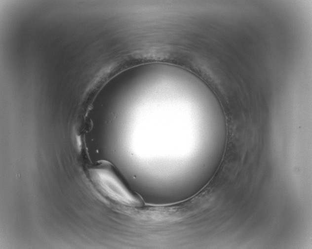 X0000067000020200603271352