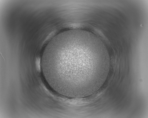 X0000067000024200603271352
