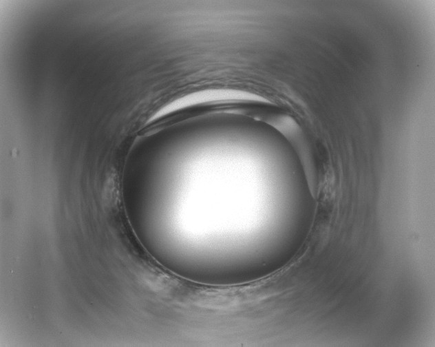 X0000067000029200603271352