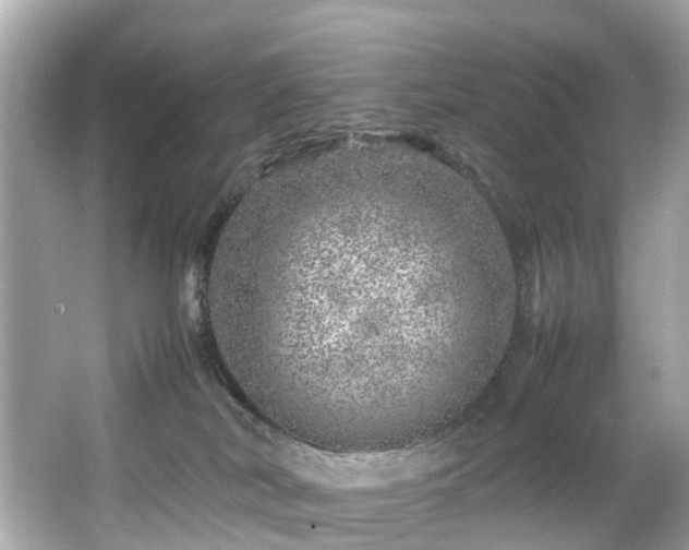 X0000067000038200603271351