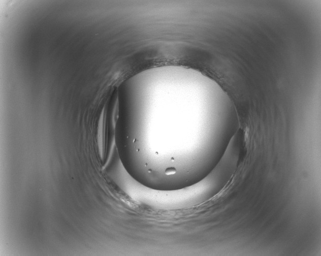 X0000067000045200603271351