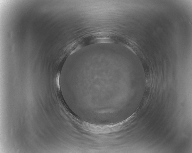 X0000067000047200603271351