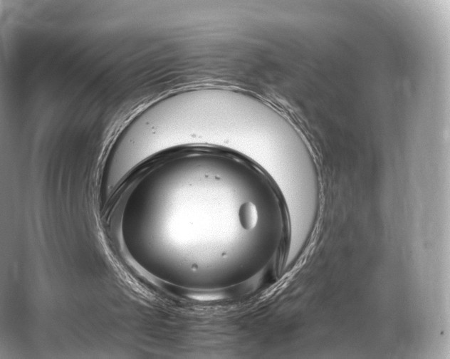 X0000067000049200603271350