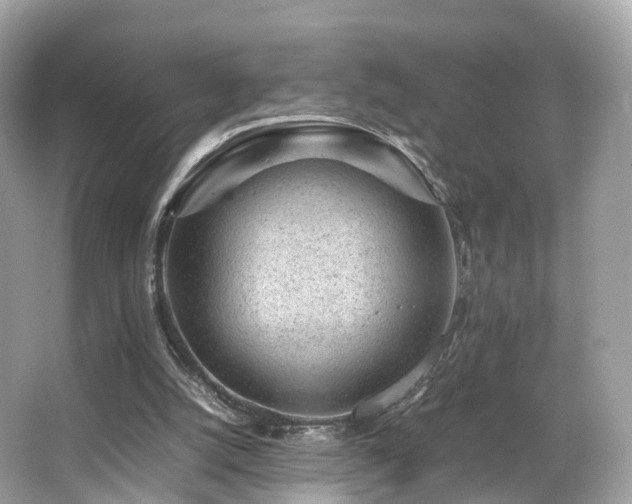 X0000067000056200603271351