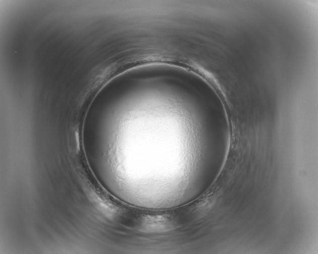 X0000067000061200603271351