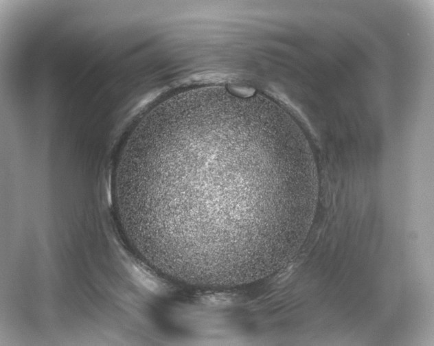 X0000067000062200603271351