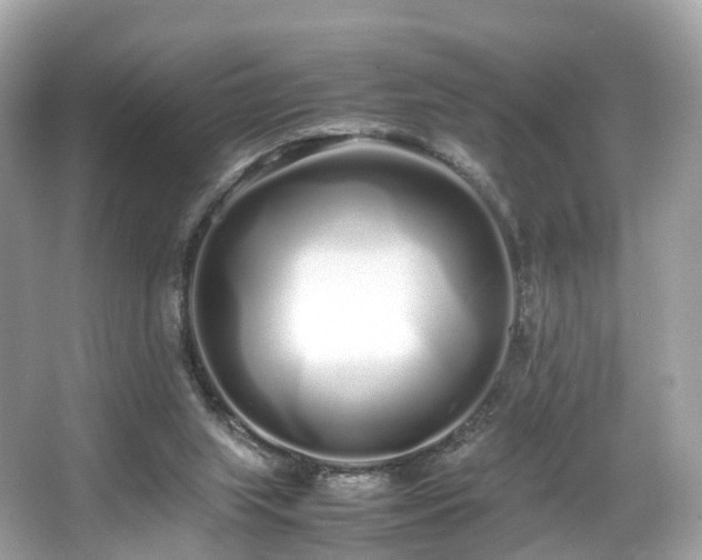 X0000067000063200603271351
