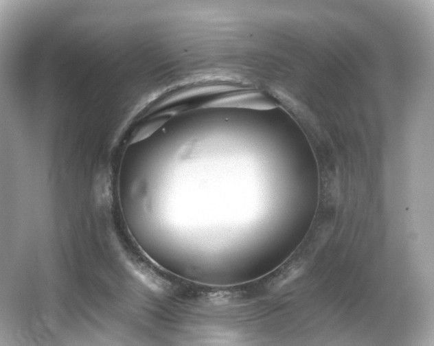 X0000067000064200603271351