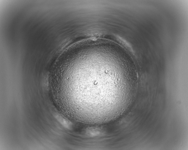 X0000067000065200603271351