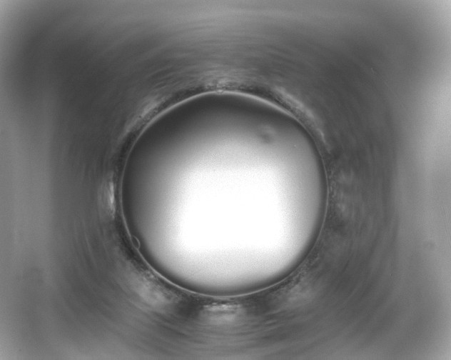 X0000067000067200603271351
