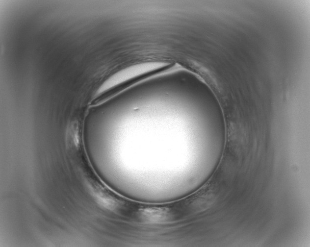 X0000067000069200603271351