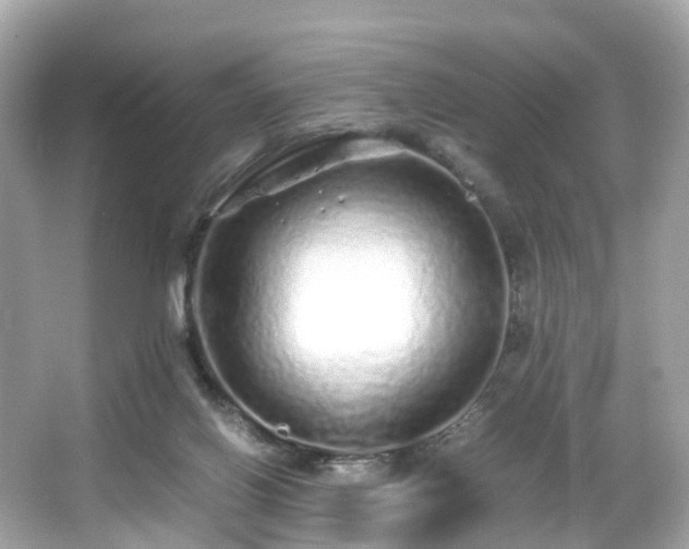 X0000067000070200603271351