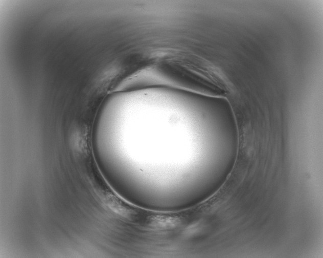 X0000067000073200603271351