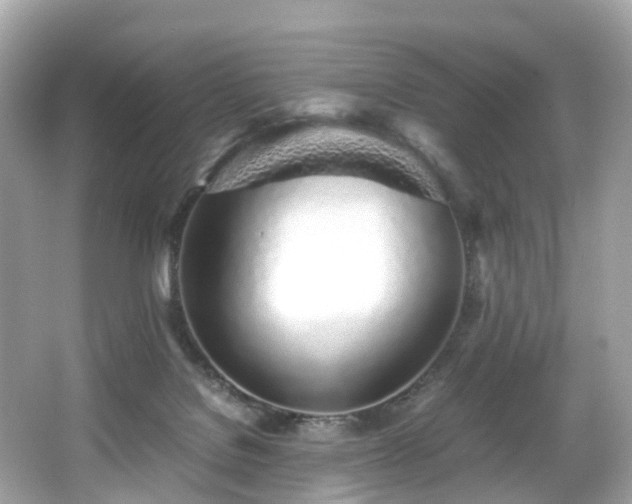 X0000067000076200603271351