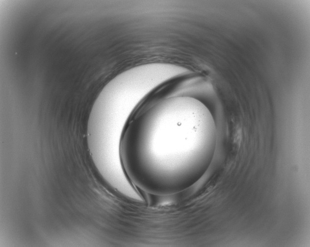X0000067000077200603271351