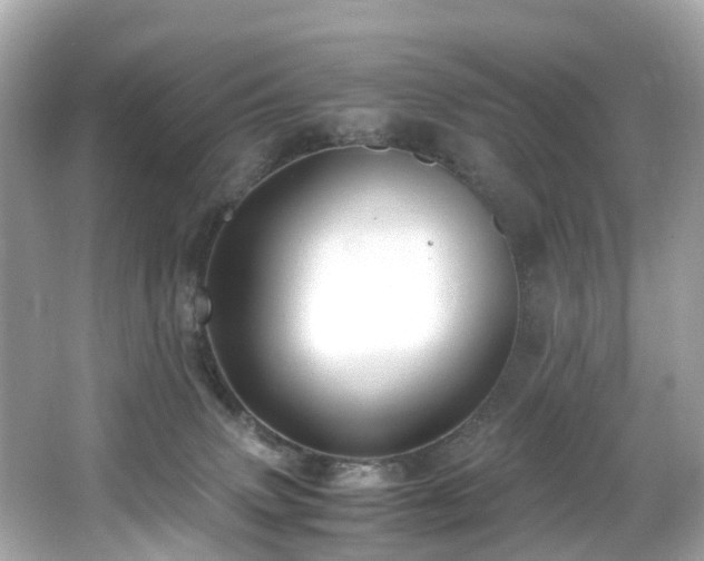 X0000067000083200603271351