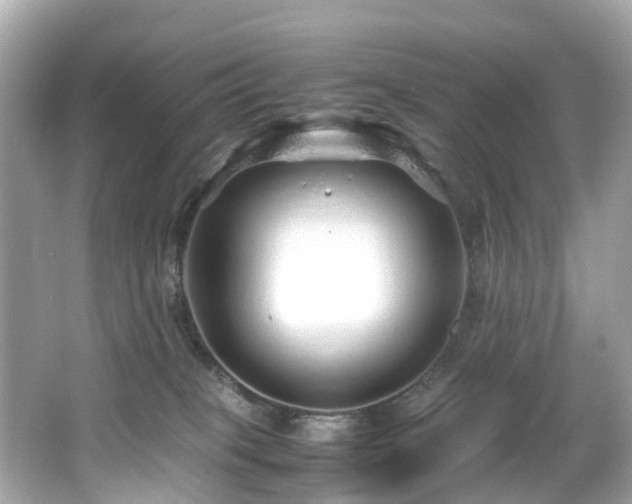 X0000067000085200603271351