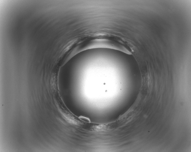 X0000067000092200603271351