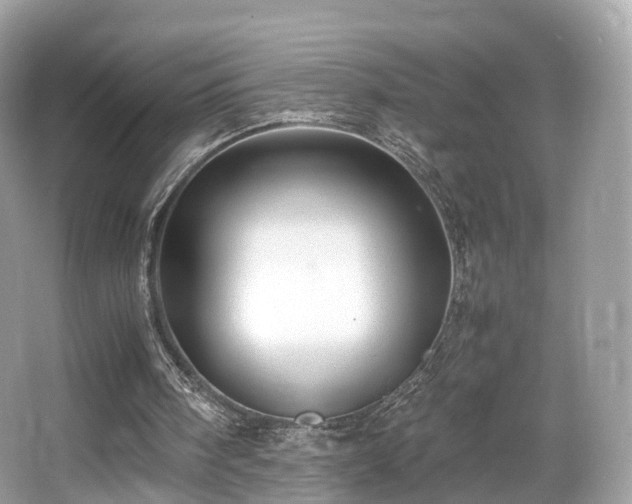 X0000067000098200603271350