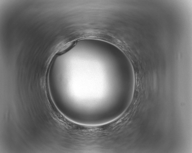 X0000067000099200603271350