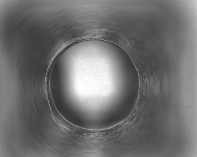 X0000067000100200603271350