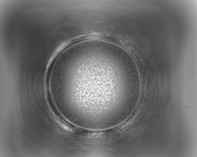 X0000067000102200603271350