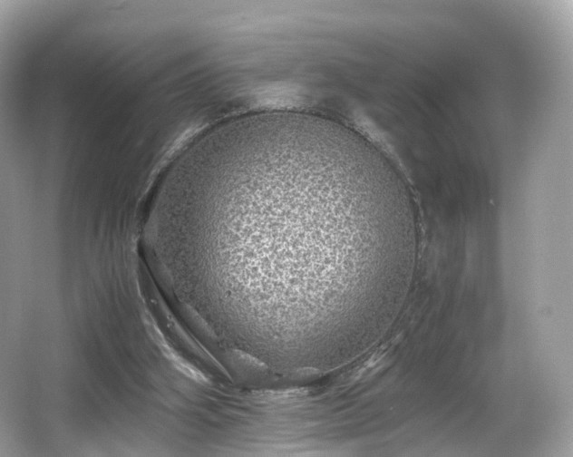 X0000067000106200603271350