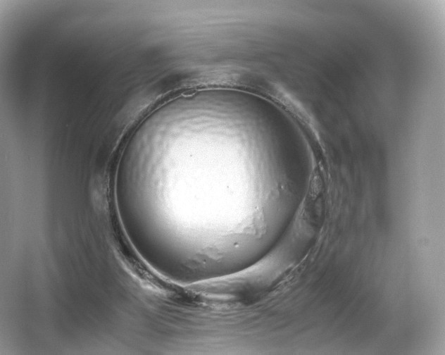 X0000067000107200603271350