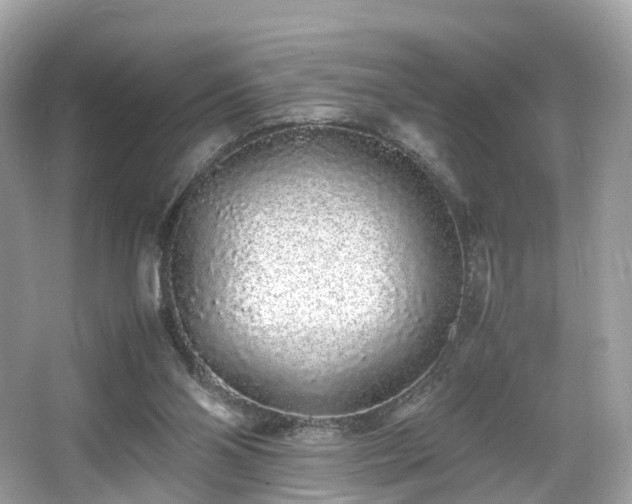 X0000067000110200603271350