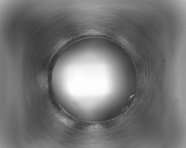 X0000067000112200603271350