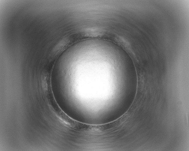 X0000067000114200603271350