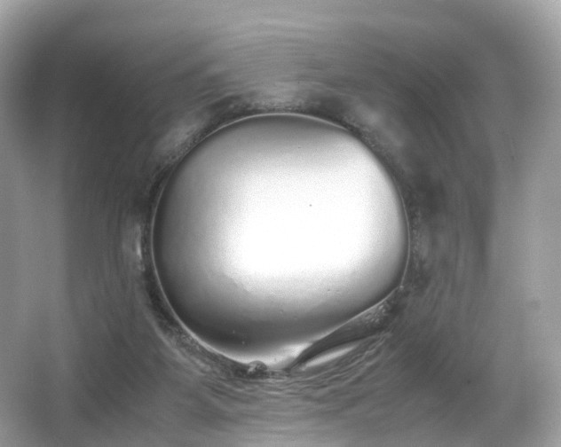 X0000067000115200603271350