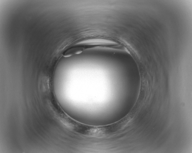 X0000067000117200603271350