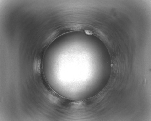 X0000067000118200603271350