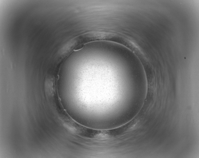X0000067000119200603271350