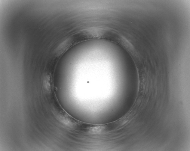 X0000067000122200603271350