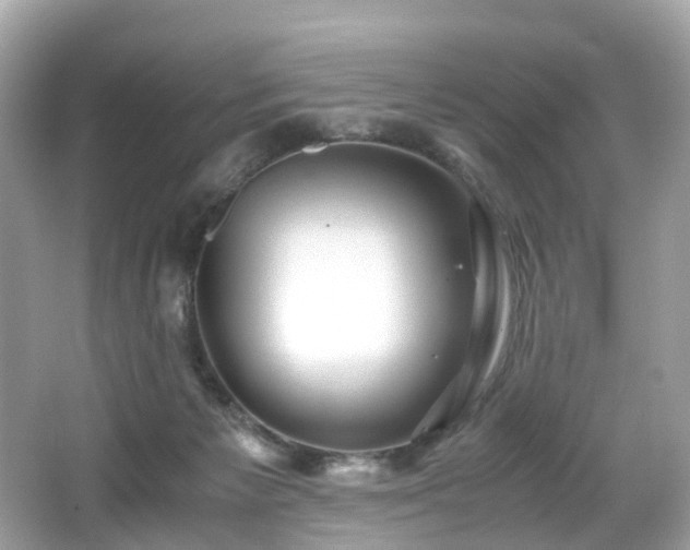 X0000067000125200603271350