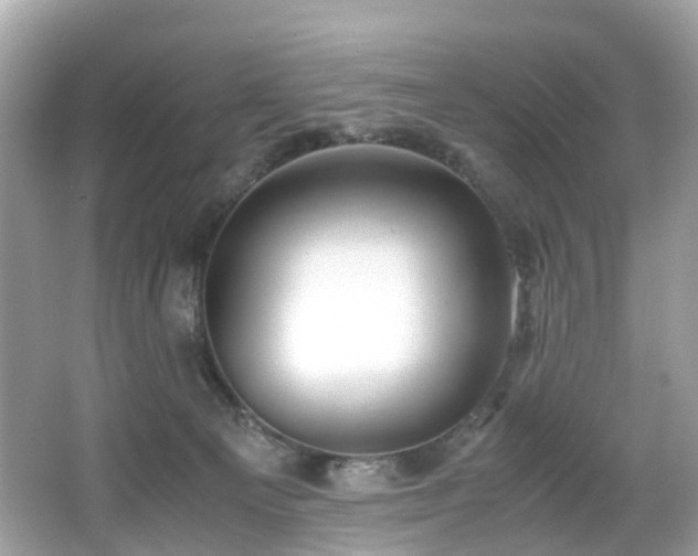 X0000067000129200603271350