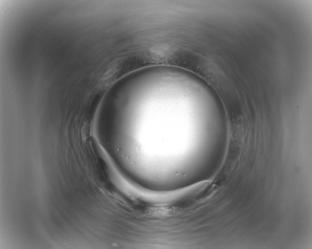 X0000067000131200603271350