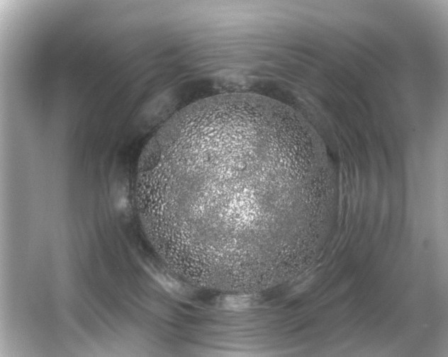 X0000067000134200603271350