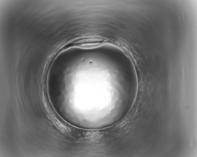 X0000067000145200603271349